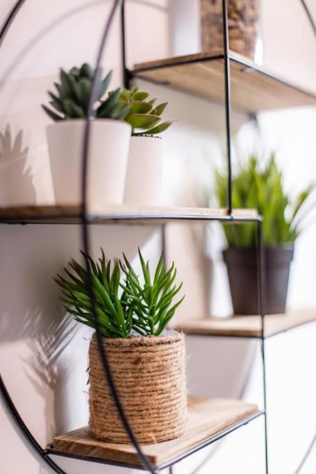 Apartamento Forest Chic : Maison San Marina Parmain Exterior foto